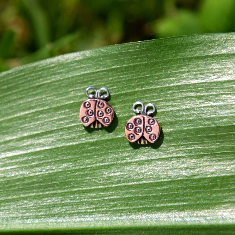 Get The Jewelry You Love At A Price You Love Sweet Ladybug Post Earrings